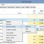 task manager process