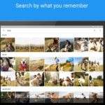 google photos tutorijal