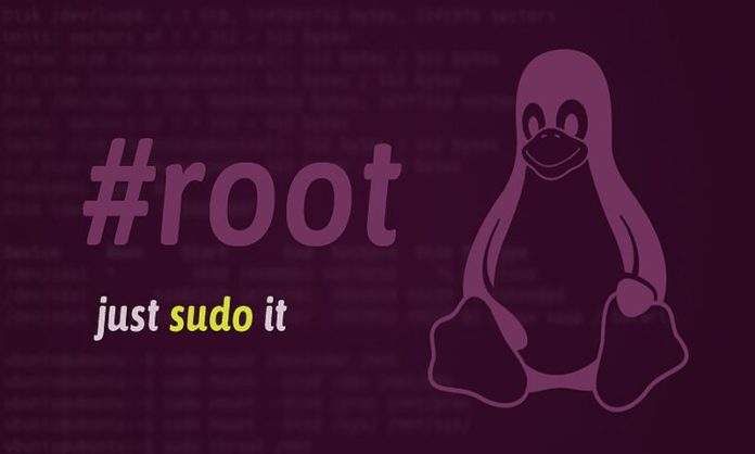 sudo meaning in linux