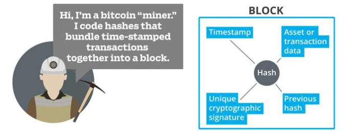 blockchain novi