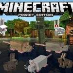 Minecraft-Pocket-Edition