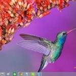 Beautiful-Birds-theme-for-windows-10