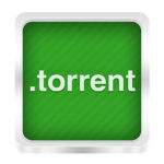 torrent file