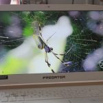 Acer Predator Helios 300 zaslon test
