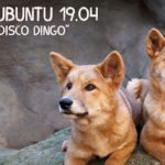 UBUNTU Disco Dingo