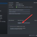 beta program steam