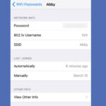 ios wifi password