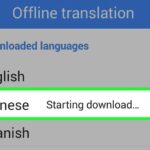 google-translator-offline
