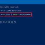 PowerShell PC Serial Number