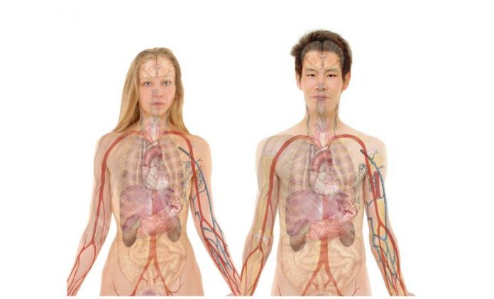 Google Maps of the Body
