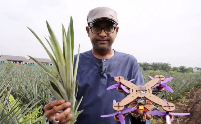 dronovi od ananasa