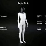 Tesla Bot