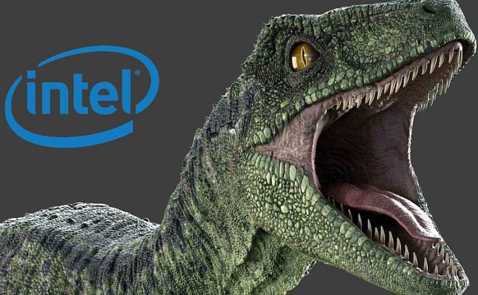 intel raptor procesori