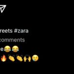 Instagram Zara comments