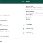 whatsapp-media-visibility