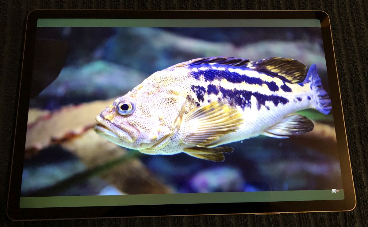 Galaxy Tab S9 FE+ ekran