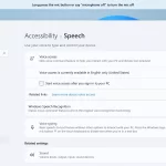 Voice Access win 11