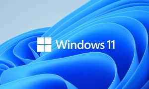 windows 11